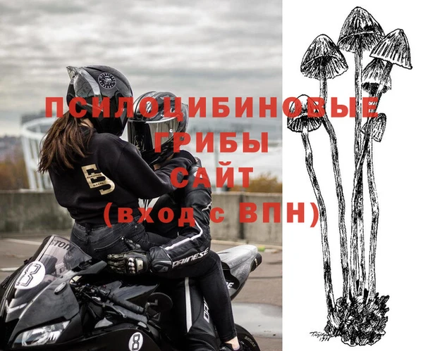 Альфа ПВП Волоколамск