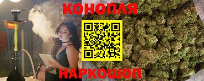 крисы Донской