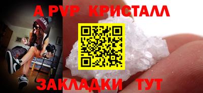 крисы Донской
