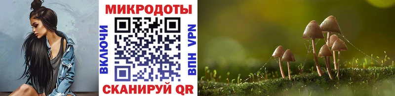 Псилоцибиновые грибы Cubensis  как найти наркотики  Кирово-Чепецк 