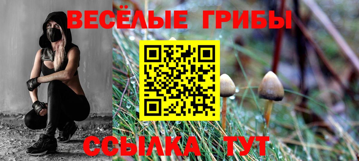 закладка  Вход с VPN  Кирово-Чепецк  Псилоцибиновые грибы прущие грибы 