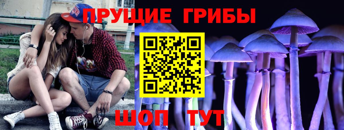 Псилоцибиновые грибы GOLDEN TEACHER Кирово-Чепецк